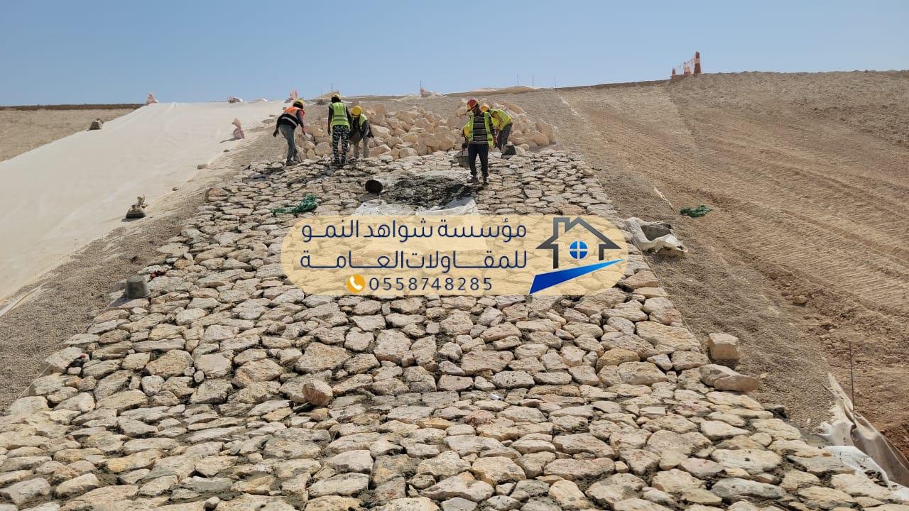 صورة حجر ربراب في حديقة